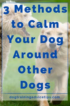 two dogs playing with each other in the grass and text overlay reads, 3 method to calm your dog around other dogs