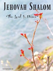 the book cover for jehovah shalohm, the lord is peace