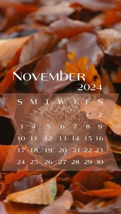 an image of a calendar with leaves on the ground in front of it and text that reads november 2012