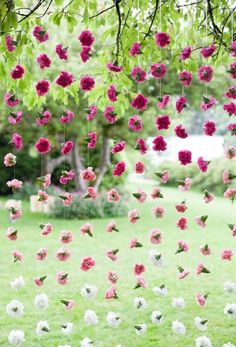 pink and white flowers hanging from the branches of a tree in front of a grassy field