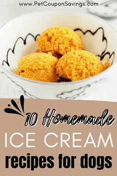 10 Homemade Ice Cream Recipes for Dogs Pup Ice Cream Recipe, Ice Cream Treats For Dogs, Ninja Creami Dog Ice Cream Recipes, Doggy Ice Cream Recipes, Pup Ice Cream, Diy Dog Ice Cream, How To Make Dog Ice Cream, Dog Ice Cream Recipe Greek Yogurt