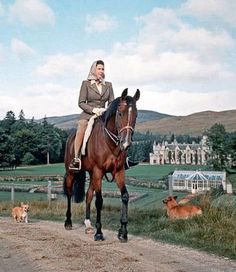 a man riding on the back of a brown horse down a dirt road next to a dog