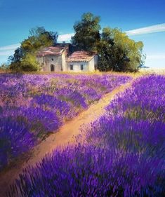 a painting of a lavender field with a house in the background