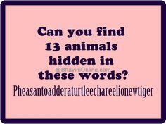 a pink square with the words can you find 13 animals hidden in these words?