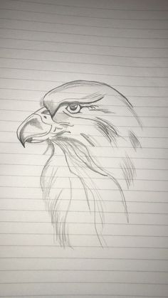 a pencil drawing of an eagle's head on lined paper