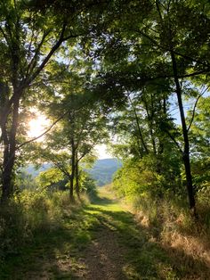 the sun shines through the trees on a dirt path