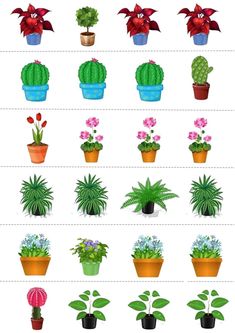 the different types of plants in pots are shown on this page, which shows how each plant