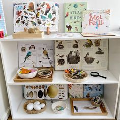 the shelves are filled with books, pictures and other things to make it look like they have birds on them