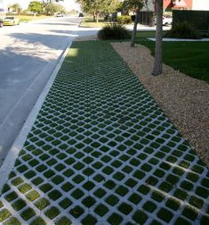 the grass is growing on the side of the road