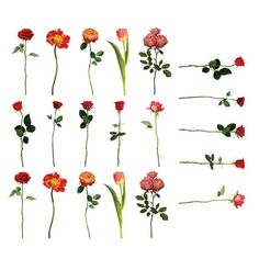 flowers are arranged in the shape of letters with leaves and stems on each letter's side