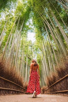 a woman standing in the middle of a bamboo forest