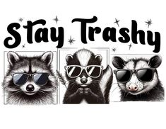 three raccoons wearing sunglasses and the words stay trashy