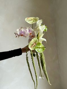 a person holding a bouquet of flowers in front of a white wall with no one around it