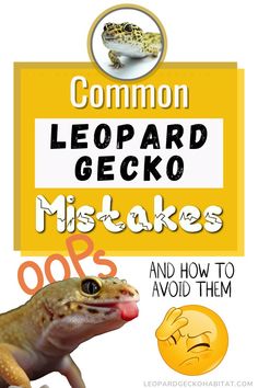 a close up of a lizard near a sign with the words leopard gecko and how to avoid them