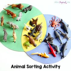 an animal sorting activity for toddlers to play with the animals on the paper plate