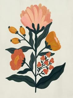 an orange and pink flower on a white background