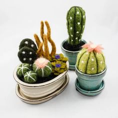 three potted cactus plants sitting on top of each other