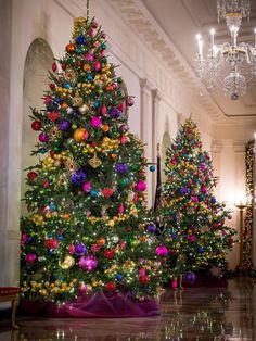 christmas trees are lined up in the lobby at the white house, decorated with colorful ornaments