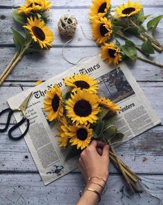 sunflowers are arranged on top of an old newspaper with scissors and twine