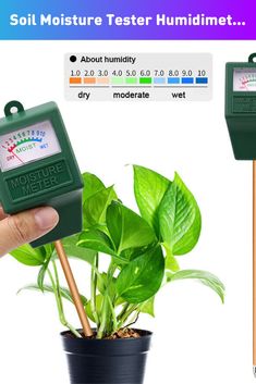 a hand holding a soil tester next to a potted plant