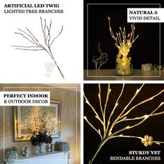 four different types of lighted branches in vases