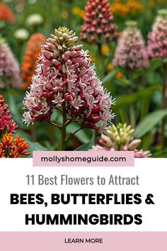 flowers with the words best flowers to attract bees, butterflies and hummingbirds learn more