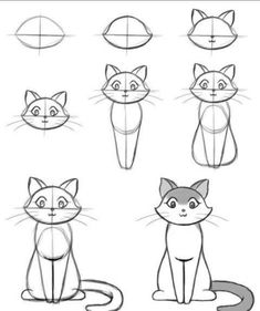 how to draw a cartoon cat step by step with pictures for kids and beginners