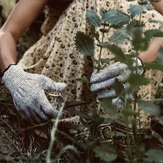 a woman wearing gloves and holding scissors in her hands while sitting on the ground next to a plant