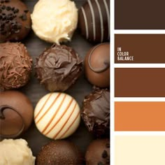 an assortment of chocolates with different colors and flavors