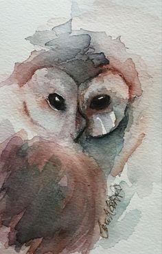 watercolor painting of an owl's face