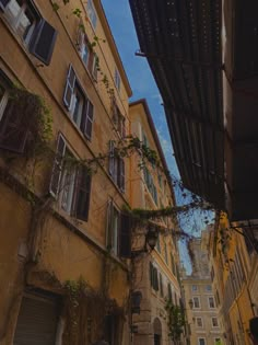 an alleyway with old buildings and vines growing on it