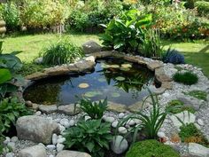 a pond surrounded by rocks and plants in the middle of a garden with lots of greenery