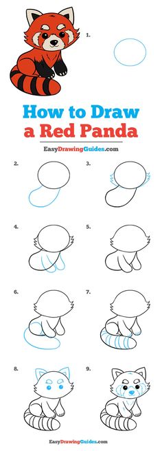 how to draw a red panda step by step drawing instructions for kids and beginners