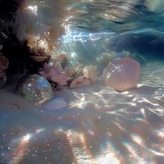 some bubbles and seashells in the water