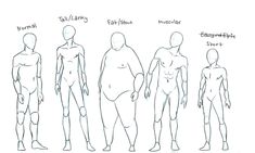 a drawing of different body shapes and sizes for people to see on the internet,