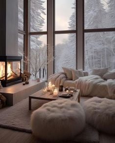 a living room filled with furniture and a fire place in front of a window covered in snow