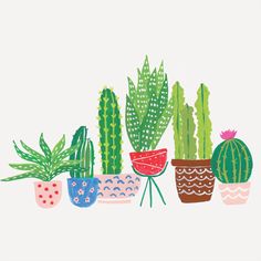 an illustration of various potted plants on a white background, including cacti and succulents