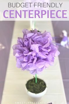 a purple flower in a white vase with the words budget friendly centerpiece on it