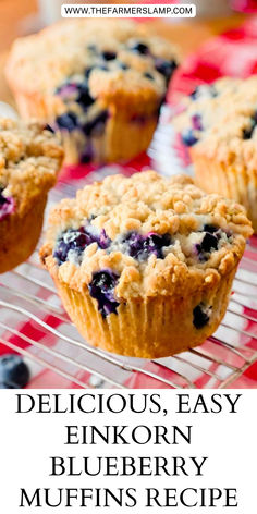 blueberry muffins on a cooling rack with the words delicious, easy, and quick