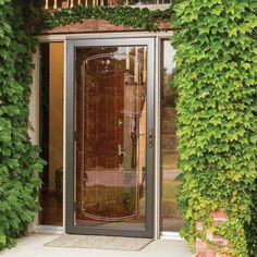 092304151991_07779587_317285460.jpg Speakeasy Door, Aluminum Storm Doors, Glass Storm Doors, Select Blinds, Storm Doors, Modern Screens, Glass Doors Interior, Pet Door, Glass Insulators