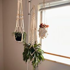 three hanging planters with plants in them next to a window and a potted plant