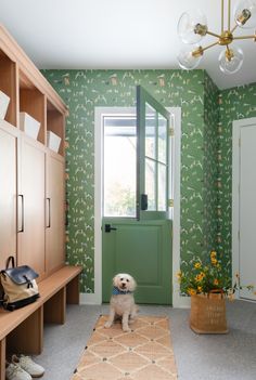 a dog sitting on the floor in front of a green door and some wooden cabinets