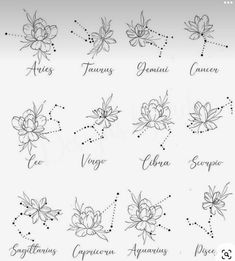 the different types of flowers and their names on a white sheet with black ink, which includes