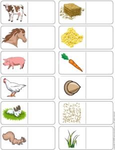 Farm Animals- Association game What Do Farm Animals Eat, Animals And Their Food, Animal Activities For Preschoolers, Tooth Brushing Chart, Animals Activities, Animal Worksheets