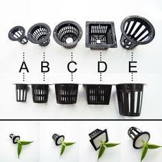 the instructions for how to grow an umbrella plant in plastic cups with leaves on them