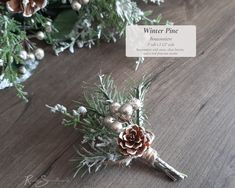 a pine cone is sitting on the table next to some fir cones and other evergreen branches