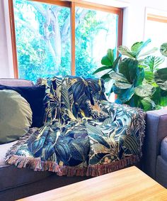 a living room filled with furniture and a large plant next to a window covered in leaves