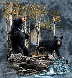 two bears are standing on rocks in the water near some trees with yellow leaves around them