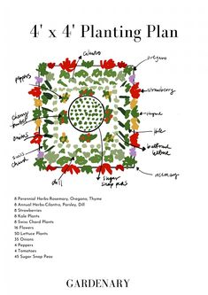 an image of the four planting plan