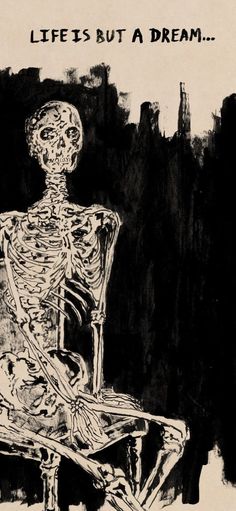 a drawing of a skeleton sitting in a chair with the words life is but a dream